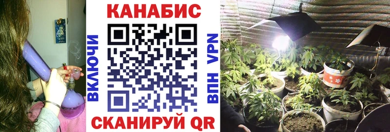 Цена Красный Кут Псилоцибиновые грибы  Cocaine  Амфетамин  МАРИХУАНА  Гашиш  Мефедрон  A PVP 