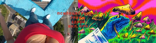 мяу мяу мука Балабаново