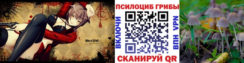 Псилоцибиновые грибы прущие грибы  Красный Кут 